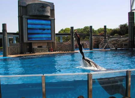 Florida2004_CG_ShamuBalancingTrainerAtSeaworld